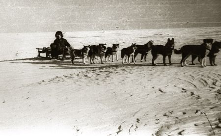 1941_m._tremtinys_Juozas_Eidukaitis_vadelioja_šunų_kinkinį._Bykov_Mysas_Jakutijos_ASSR_XX_a._6-asis_dešimtmetis.jpg