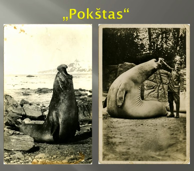 Atviruko_kopija.jpg