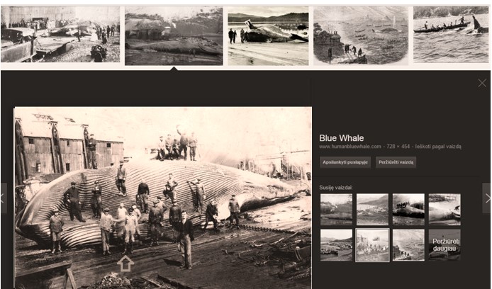 Banginis_ir_Jonas_Bendikas-meksikietiška_svetainė.jpg