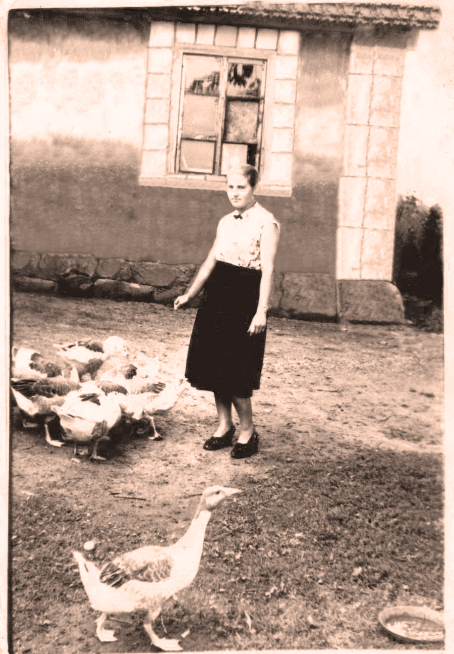 Genovaitės Žemaitytė Pocevičienė Brokštėnuose buvusio dvaro kieme33 apie 1965 m