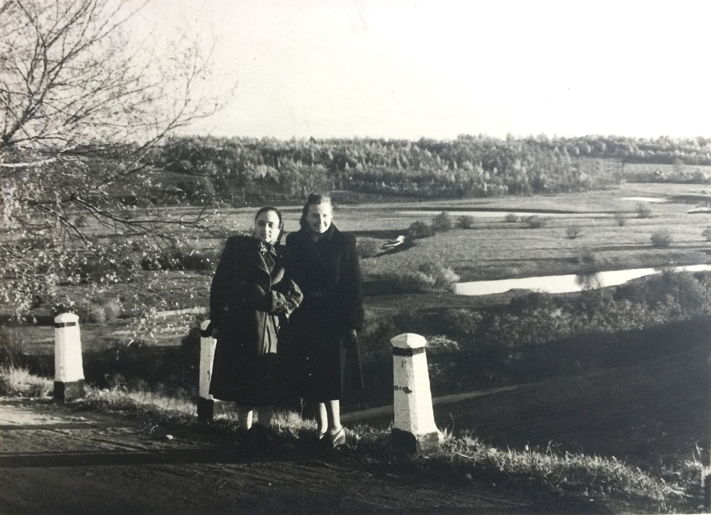 Dargalių kraštovaizdis 1950m