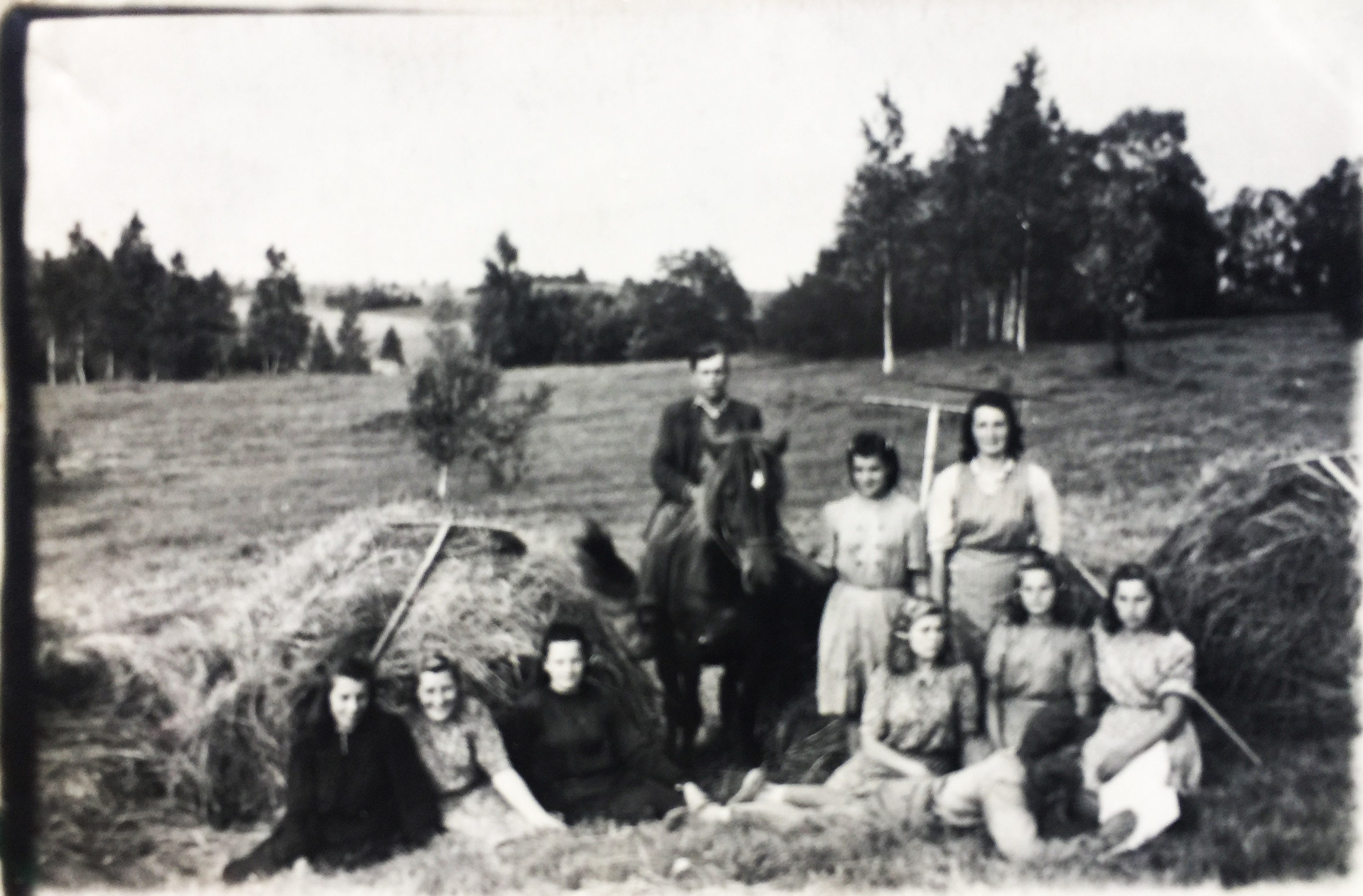 Dargaliuose šienautė.jpg