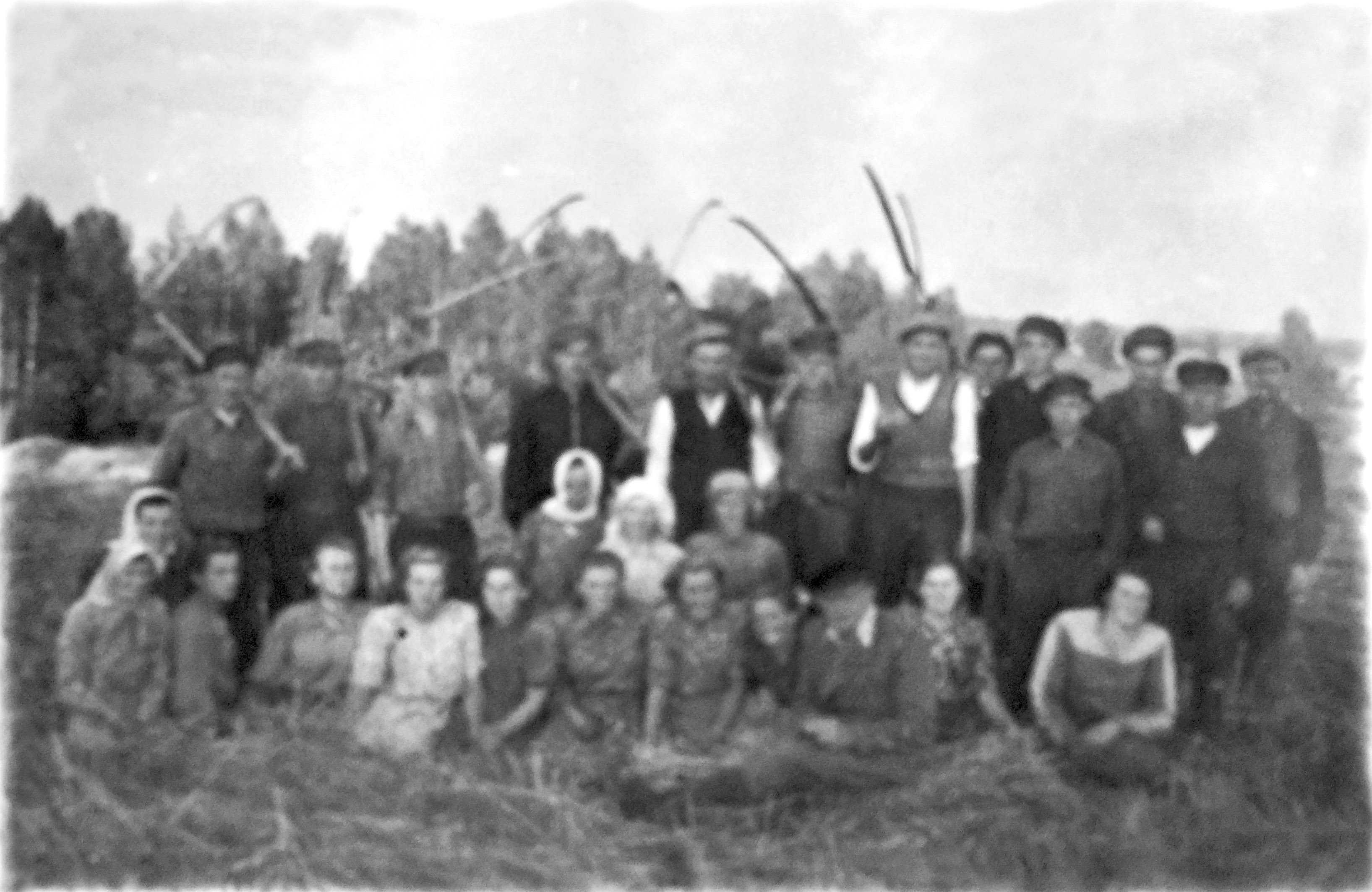 Dargaliuose šienautė3.jpg