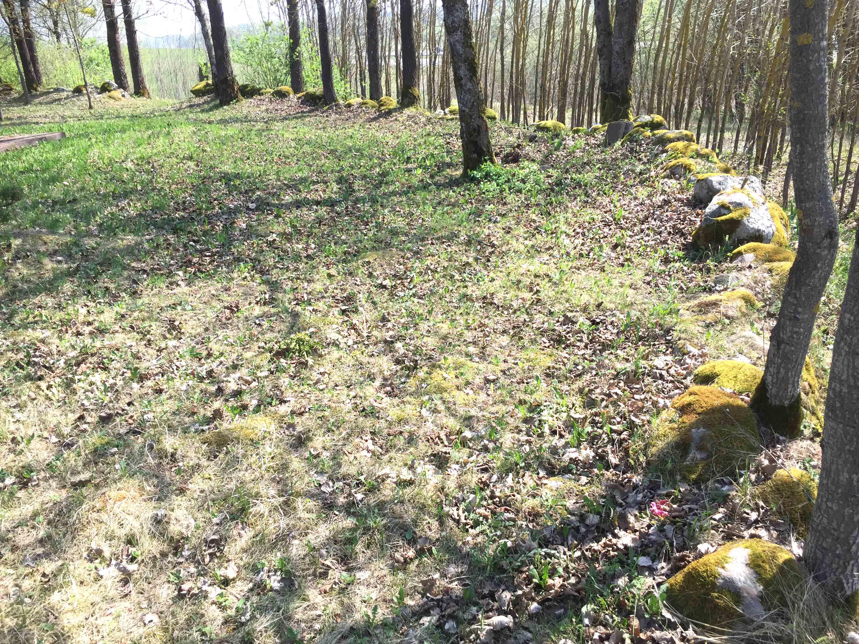 Dargalių_senkapio_tvora.jpg