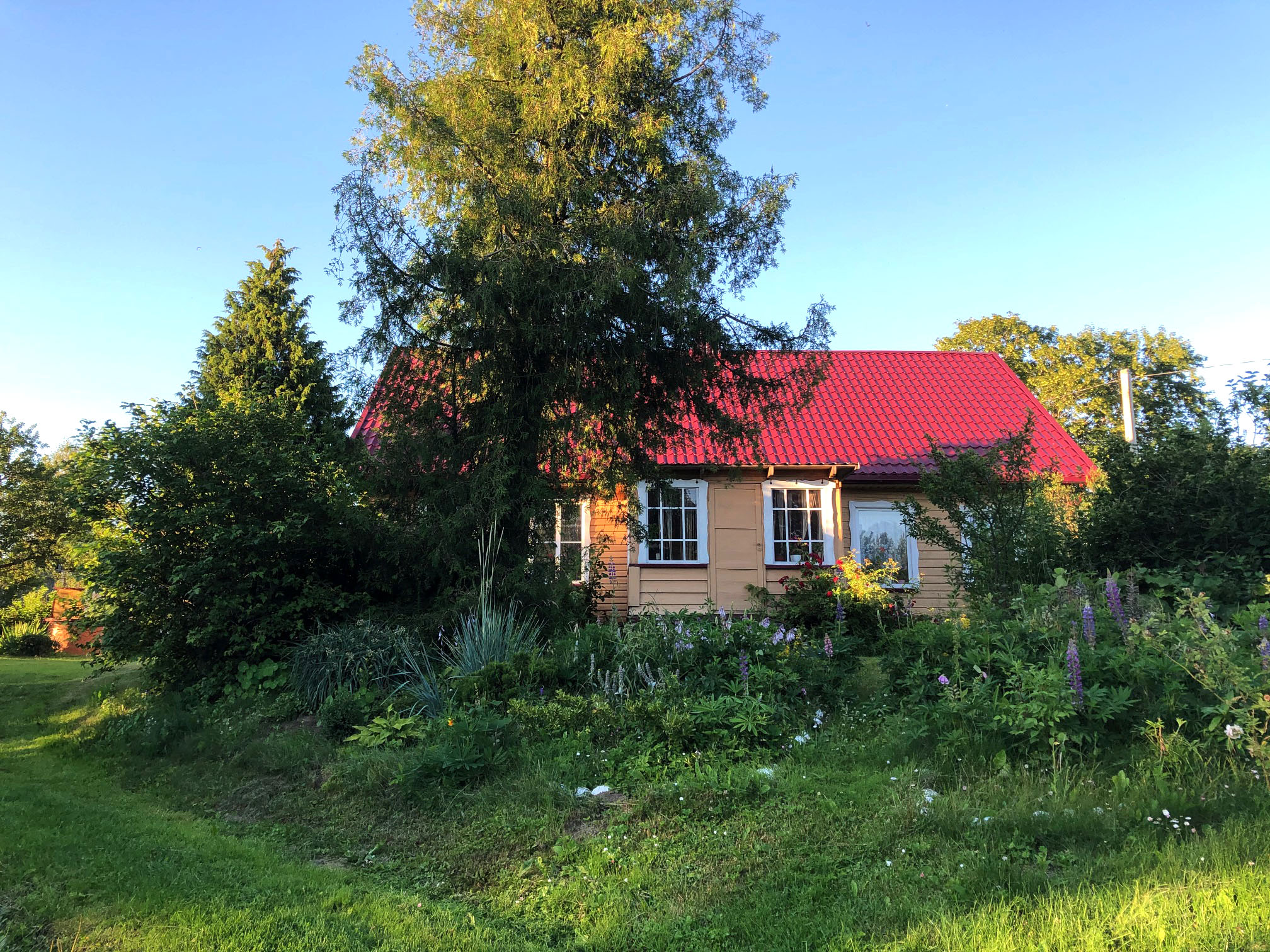 Kiaukų_Rimkaus_mokyklos_pastatas_2020_m._liepa.jpg
