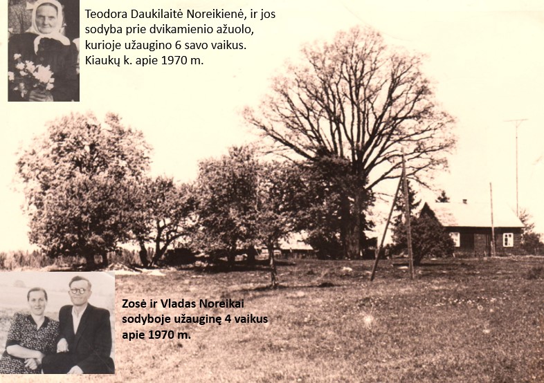 Sodyba_Kiaukų_k.jpg