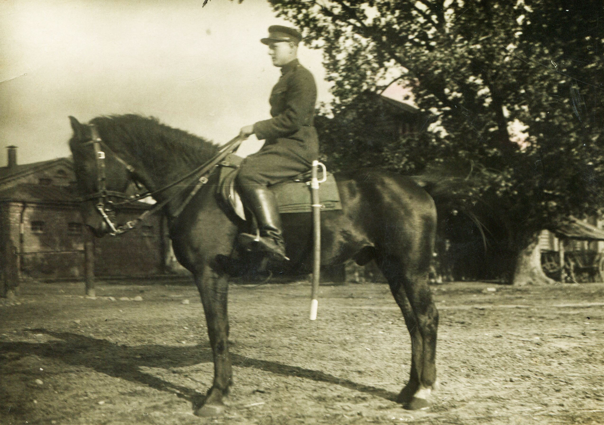 Justinas Peciukaitis1