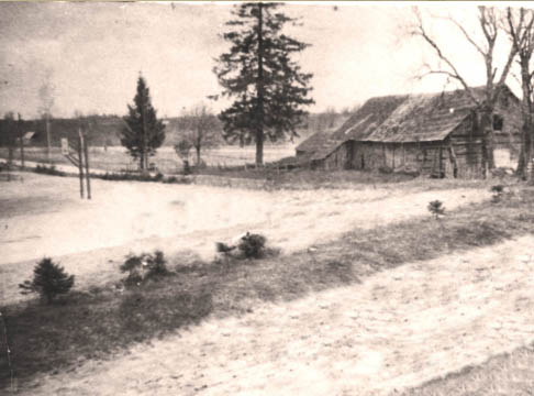 Tūbinių vaizdelis