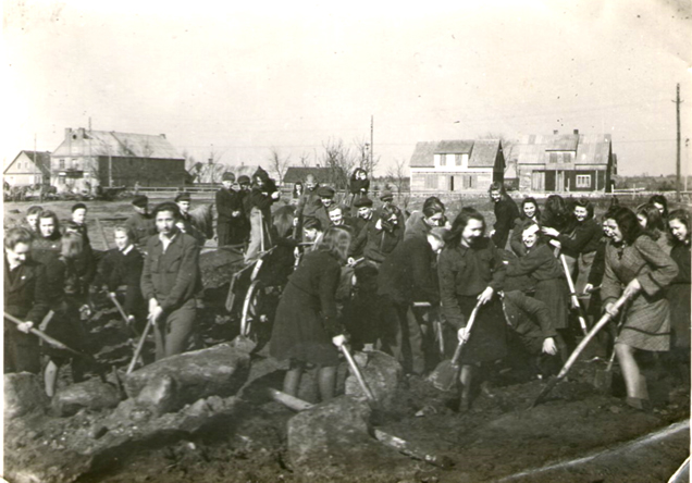 Vl. Juškio klasė talkoje, 1950 m.jpg