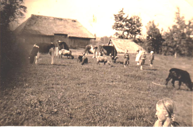 Pajerubinio kaime
