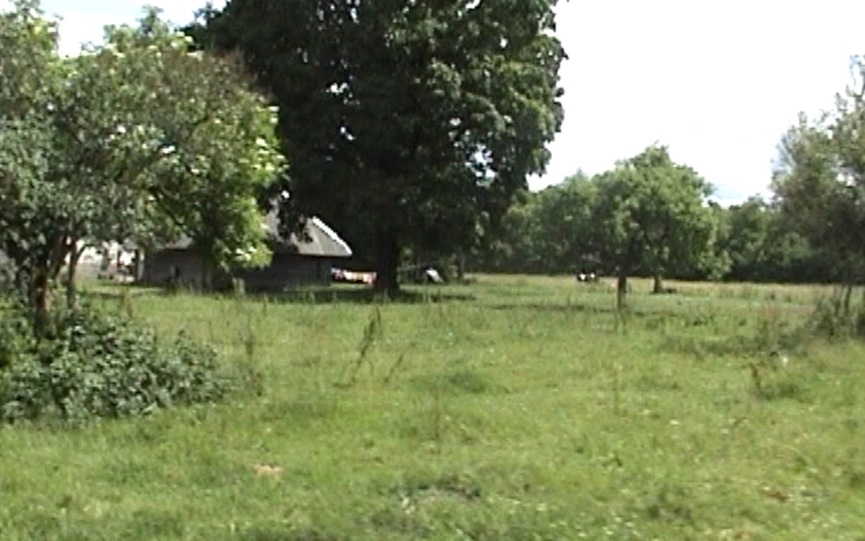 kaul1