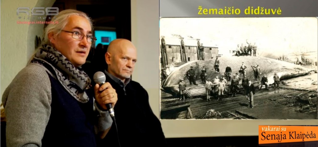 Žemaičio_didžuvė-Mėlynasis_banginis1.jpg